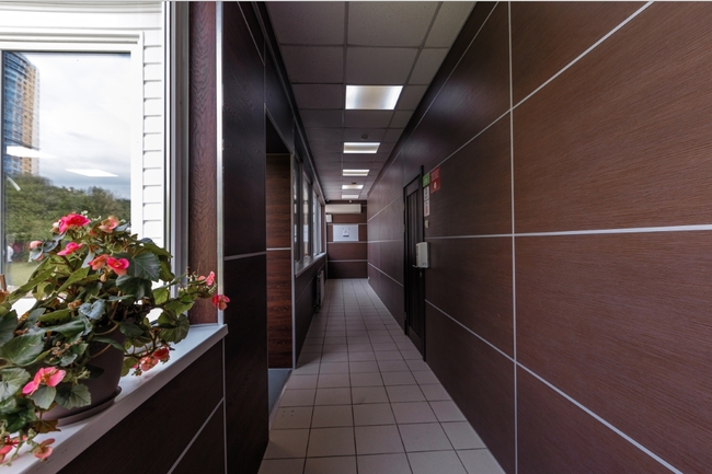 Янтарь фото 2